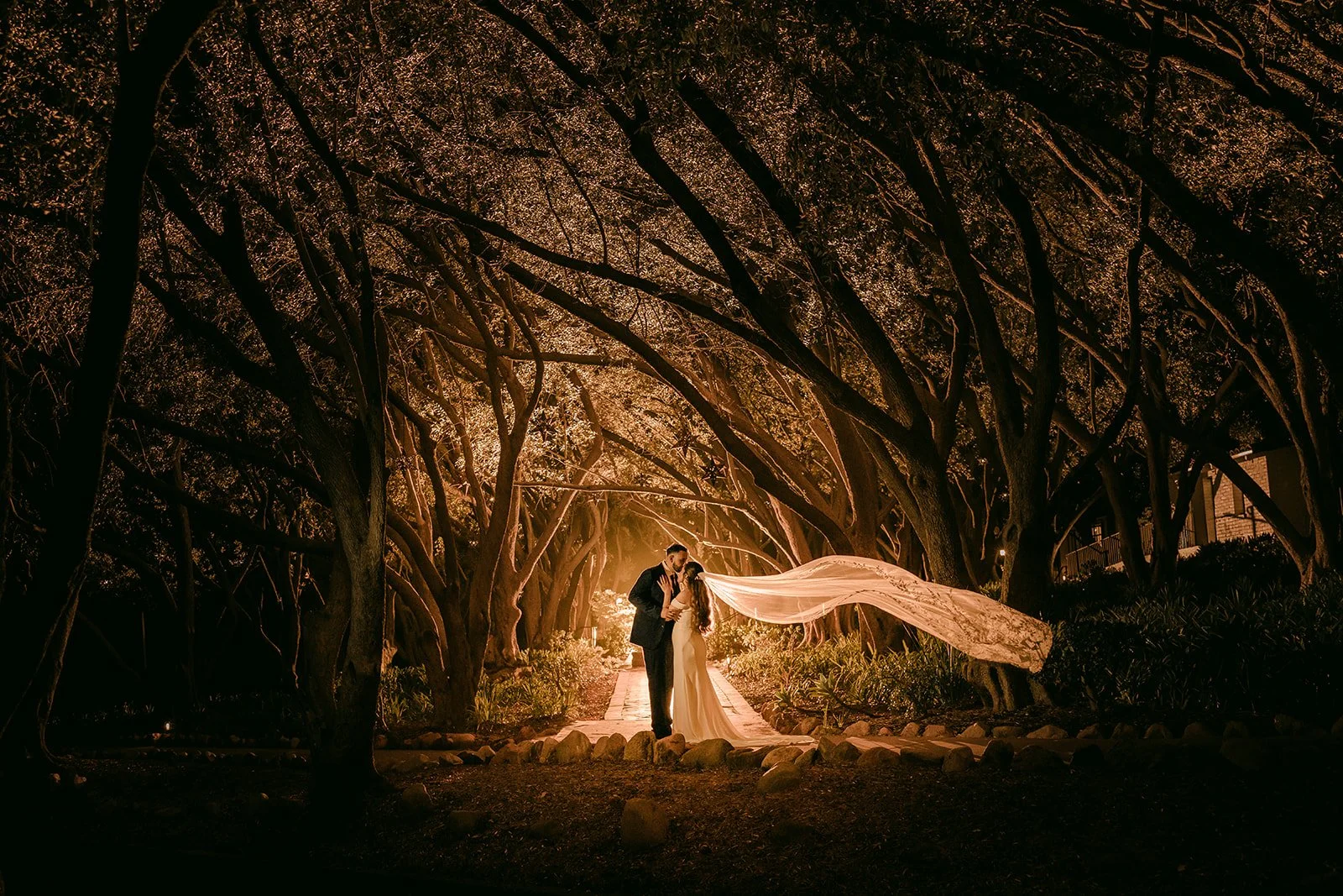 Mariana's veil floating behind the couple in the lit olive grove at night