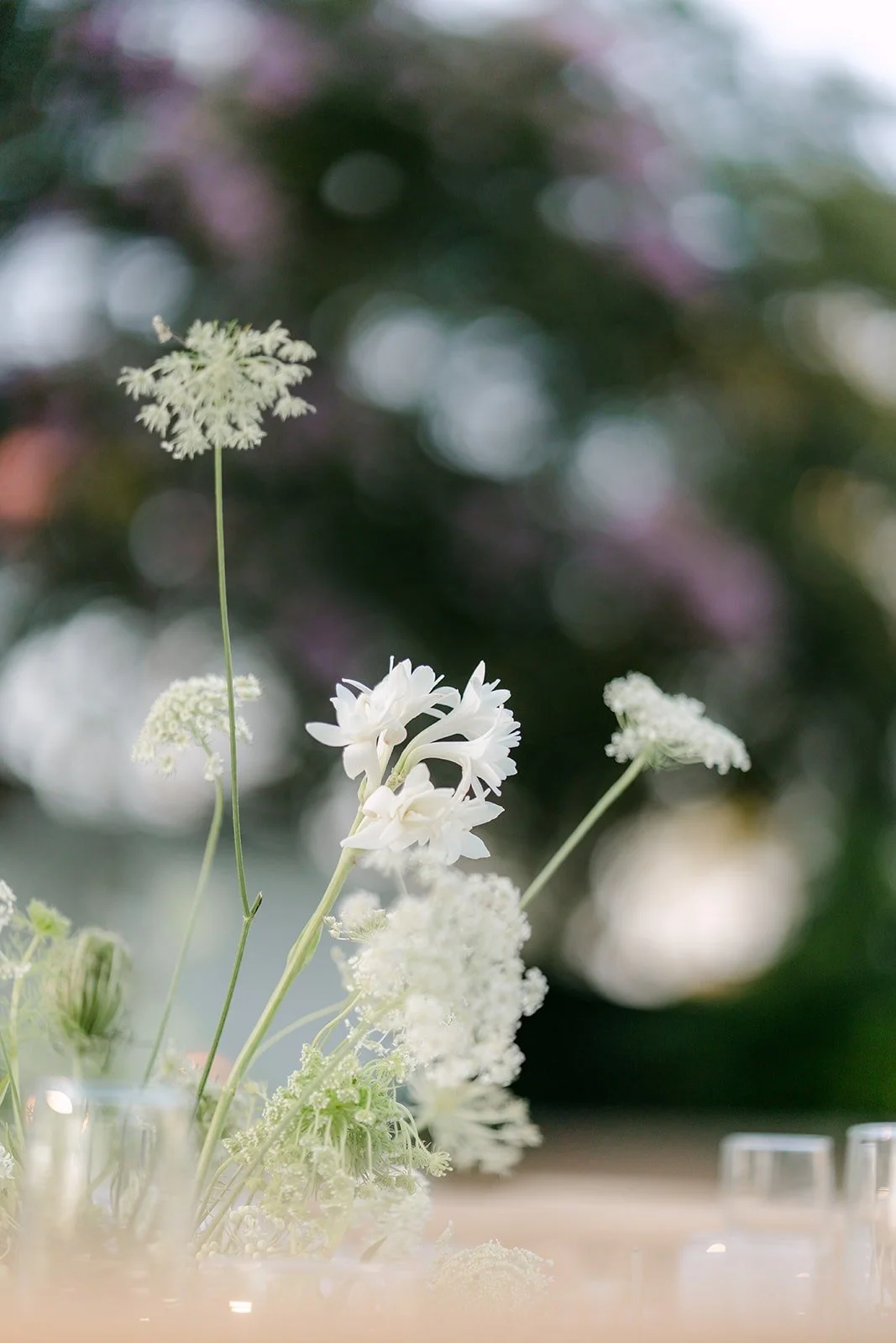 Queen Anne's lace and white blooms on a reception table