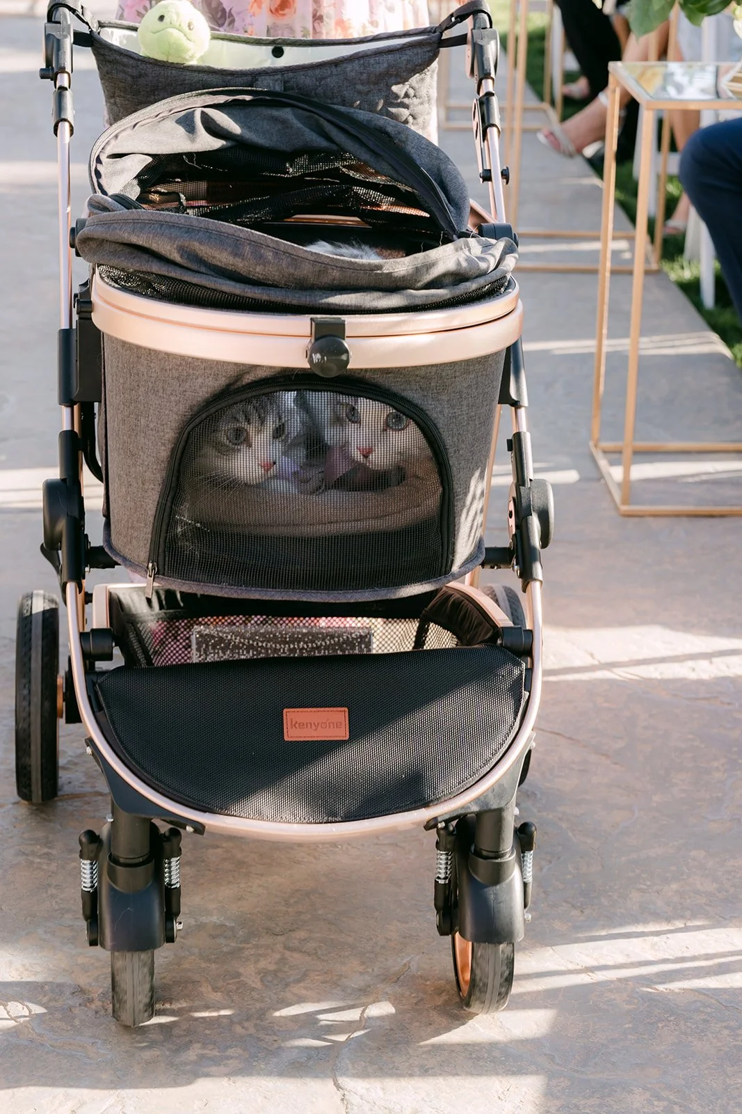 A pet stroller for the couple's cats parked by the aisle.