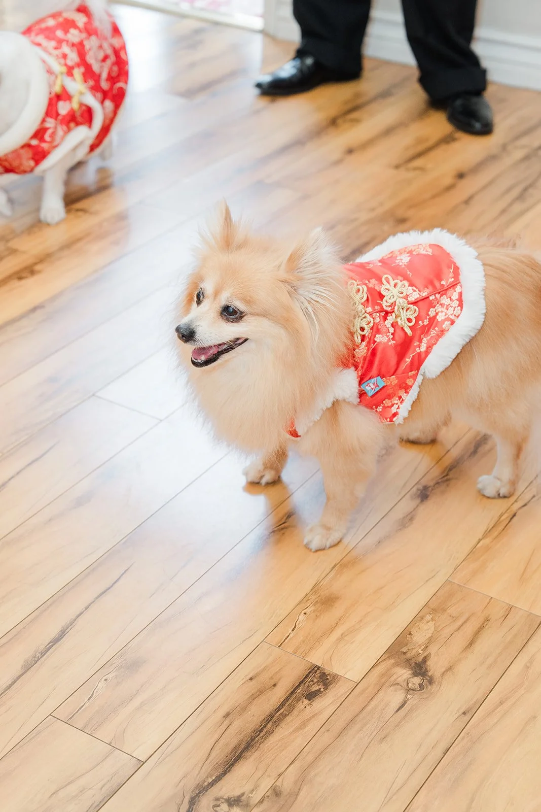 Kohmie in a red outfit.