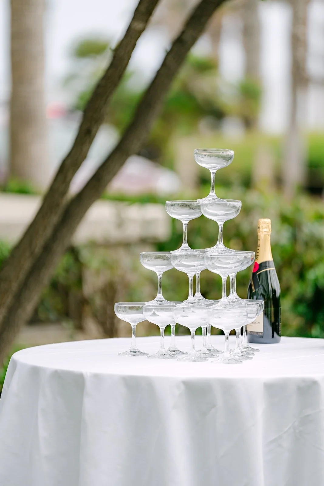 A champagne tower of coupe glasses set up in the garden at Seabird Resort