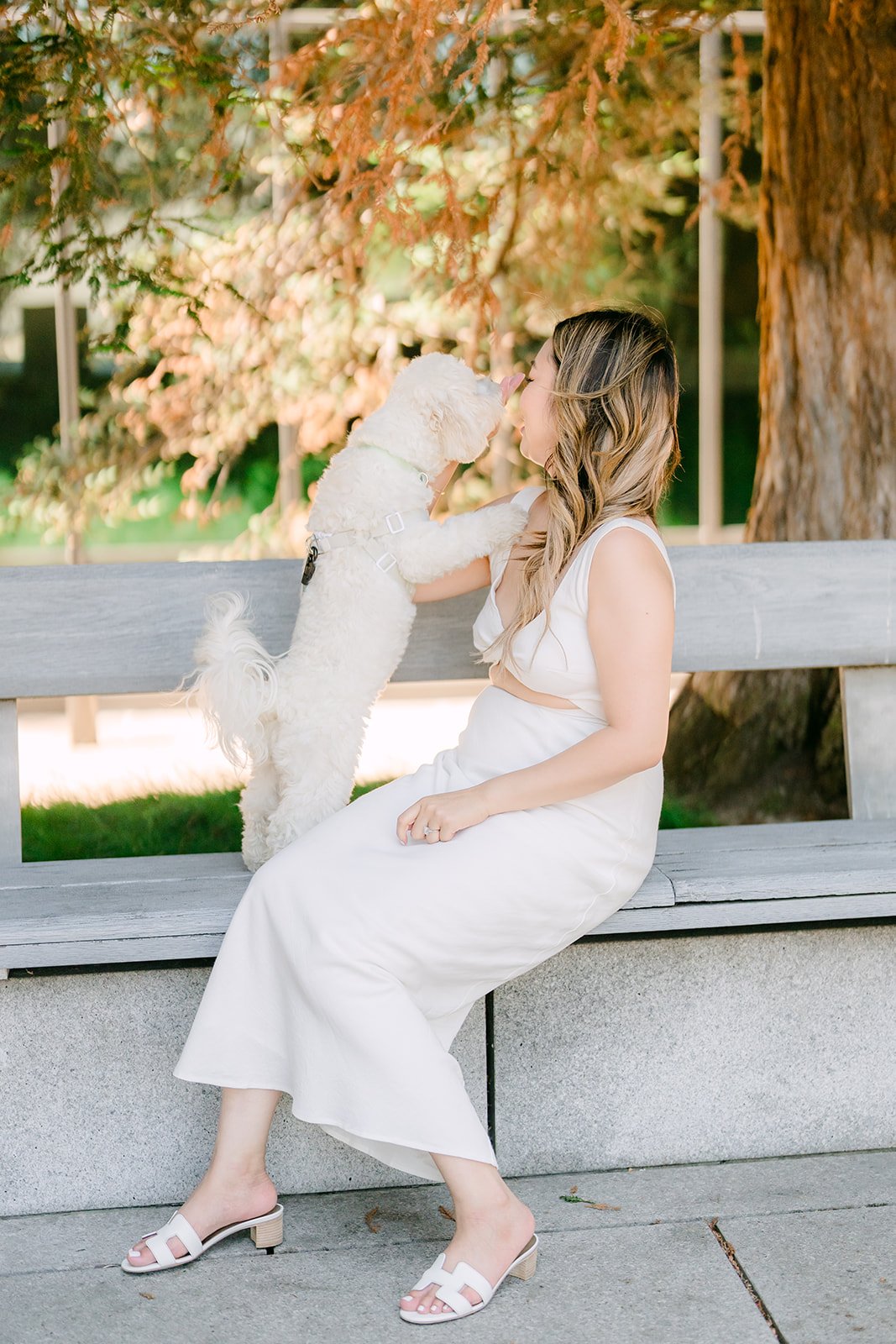 Stephanie and Tofu on a stone bench under the trees.
