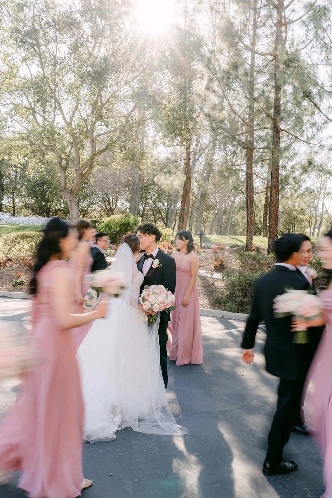 Wedding party walking along the tree-lined drive