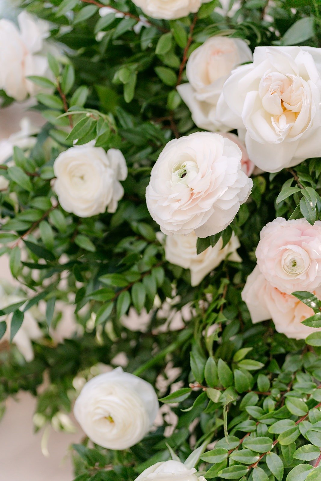 A close view of ivory roses and greenery on the ceremony arch
