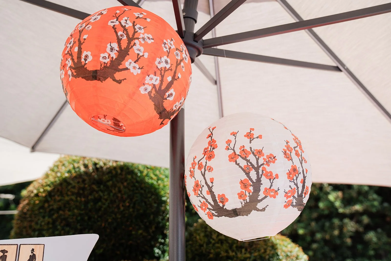 Red lanterns with cherry blossom prints hanging in the backyard.