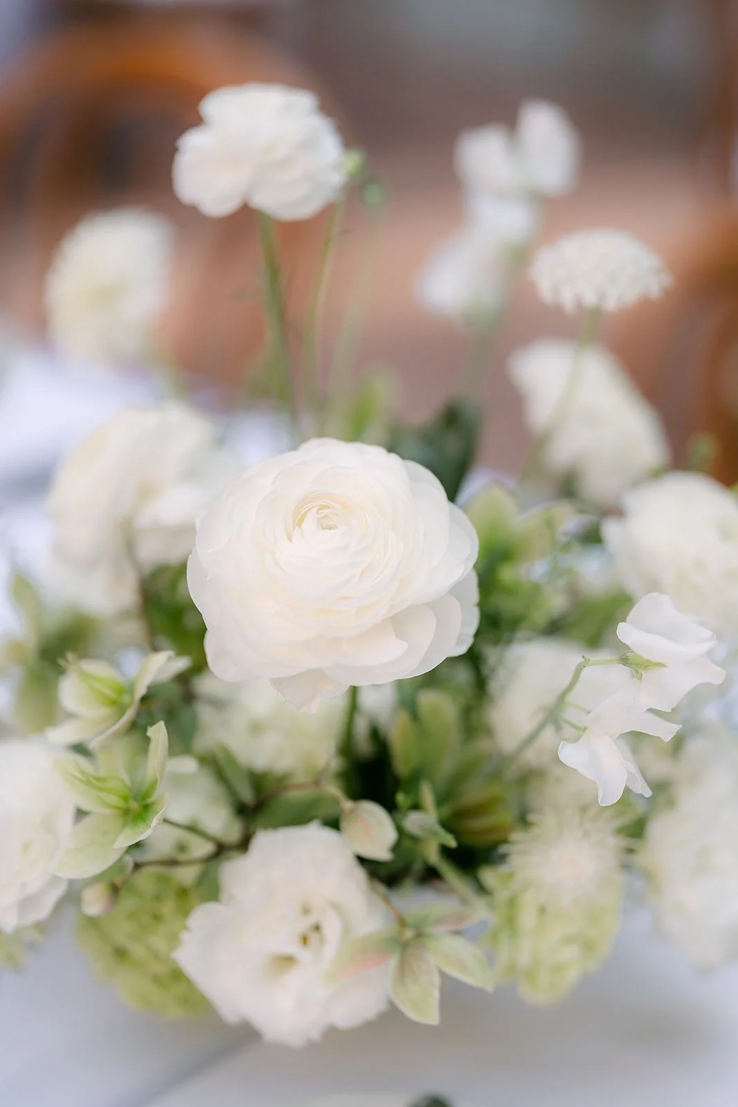 A low centerpiece of white roses and greenery