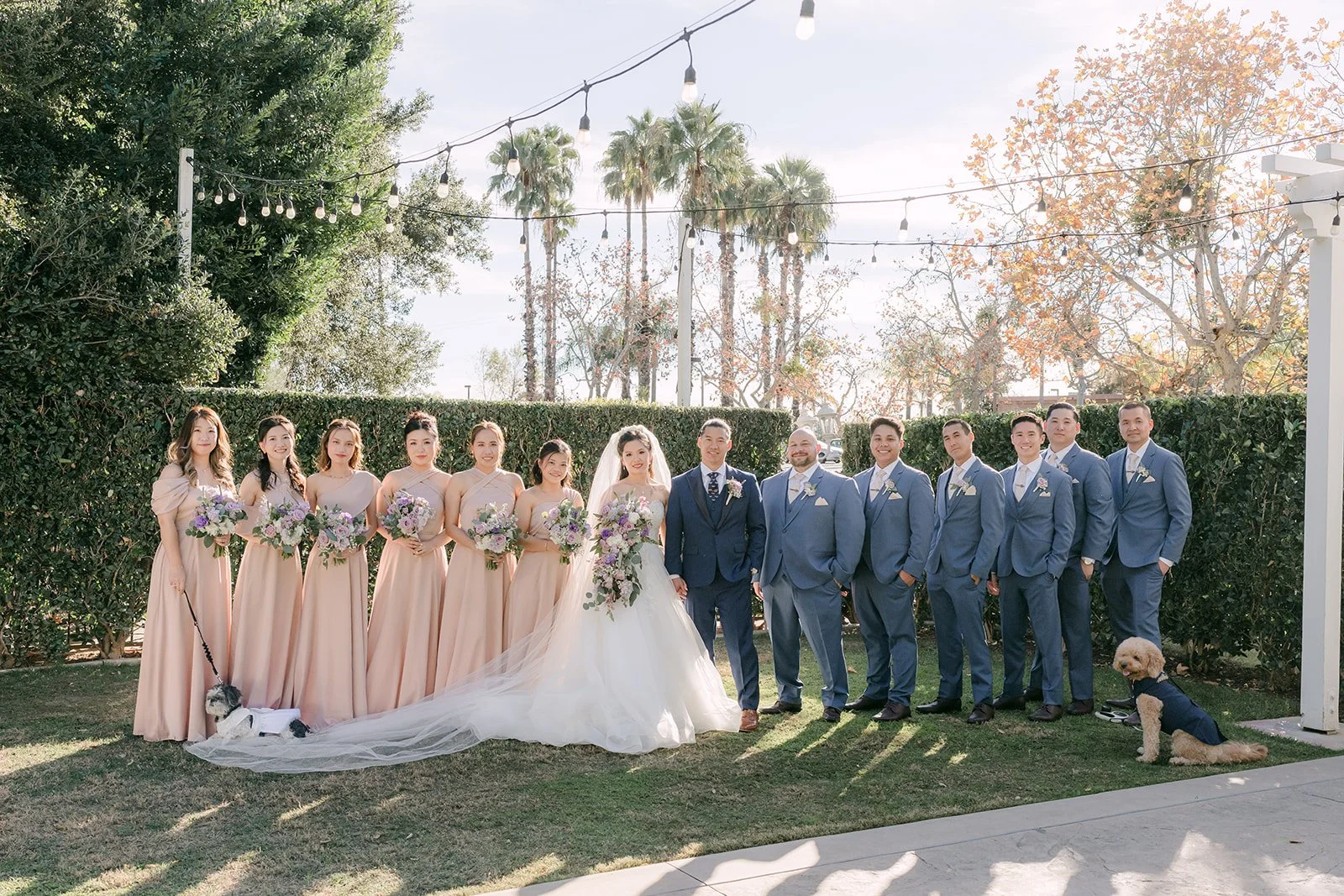 The full wedding party in blush and navy on the lawn.