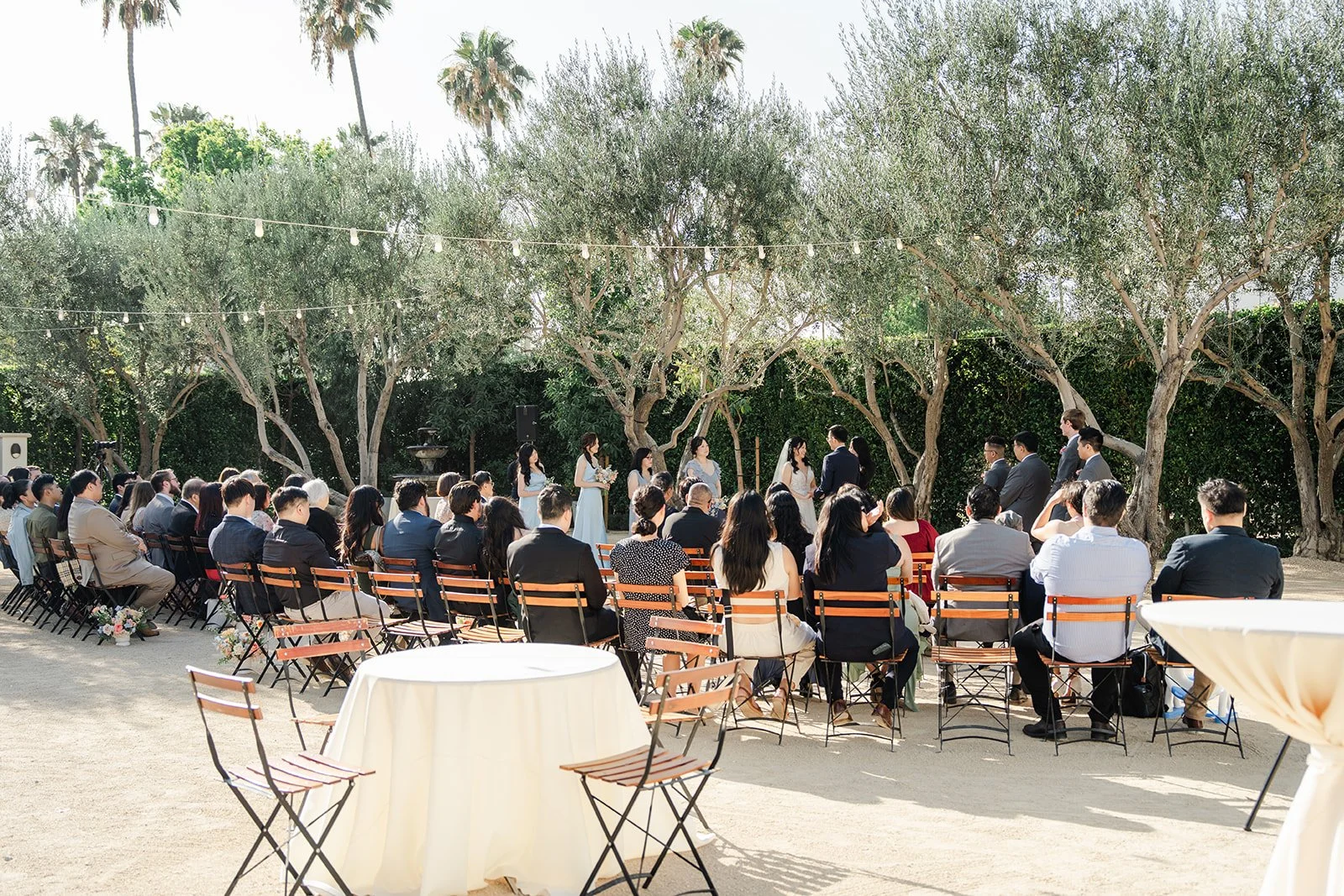Guests seated under the olive trees during the ceremony