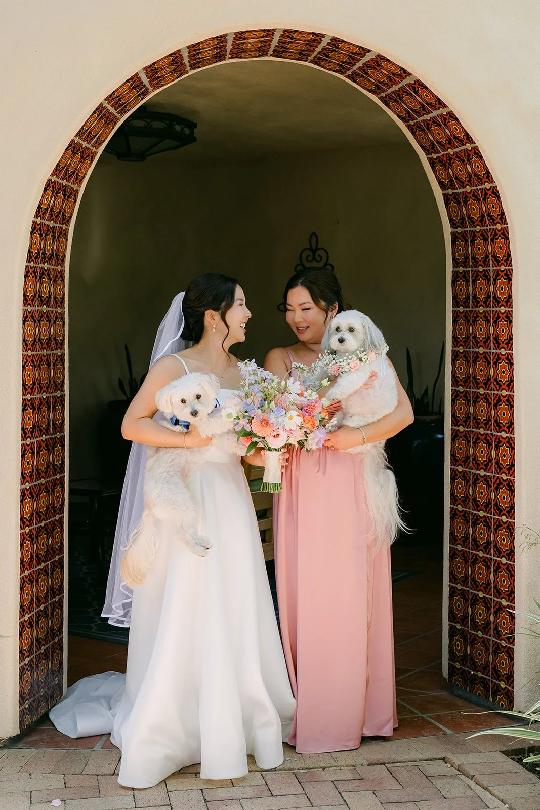 The pups posing in the archway in their wedding-day outfits