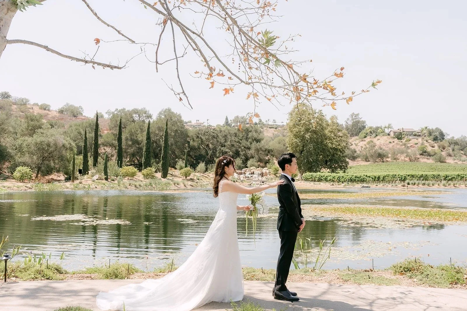 First look on the lakeside pathway at Monte Bella, Monserate Winery, with cypress trees across the water