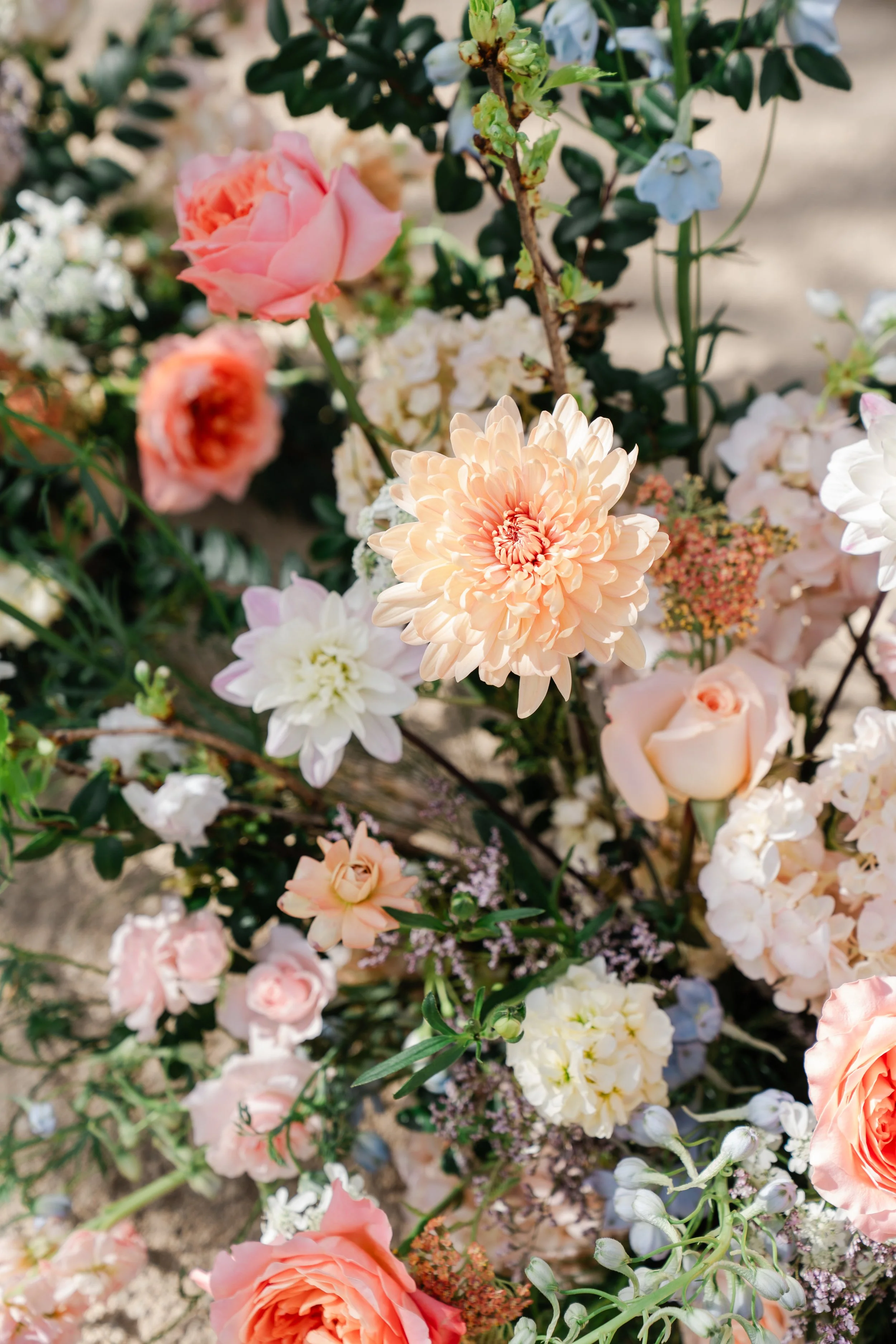 Various colorful flowers, including peach, pink, white, and light blue, arranged closely together, with green leaves and stems visible in the background.