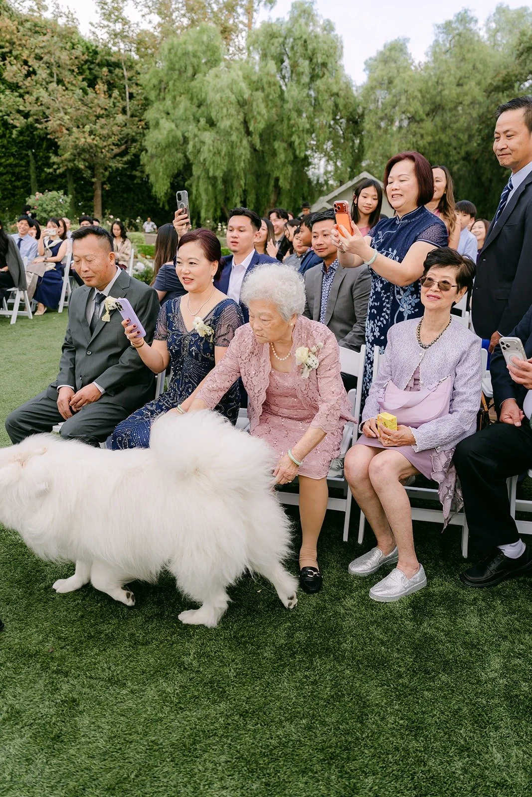 Snowball trotting down the aisle as guests smile.