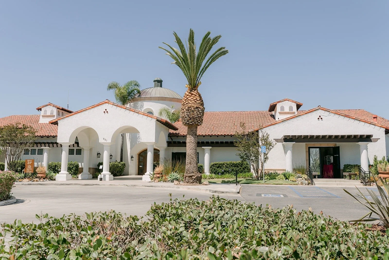 The white Spanish style clubhouse at Sterling Hills with palm trees and a red tile roof