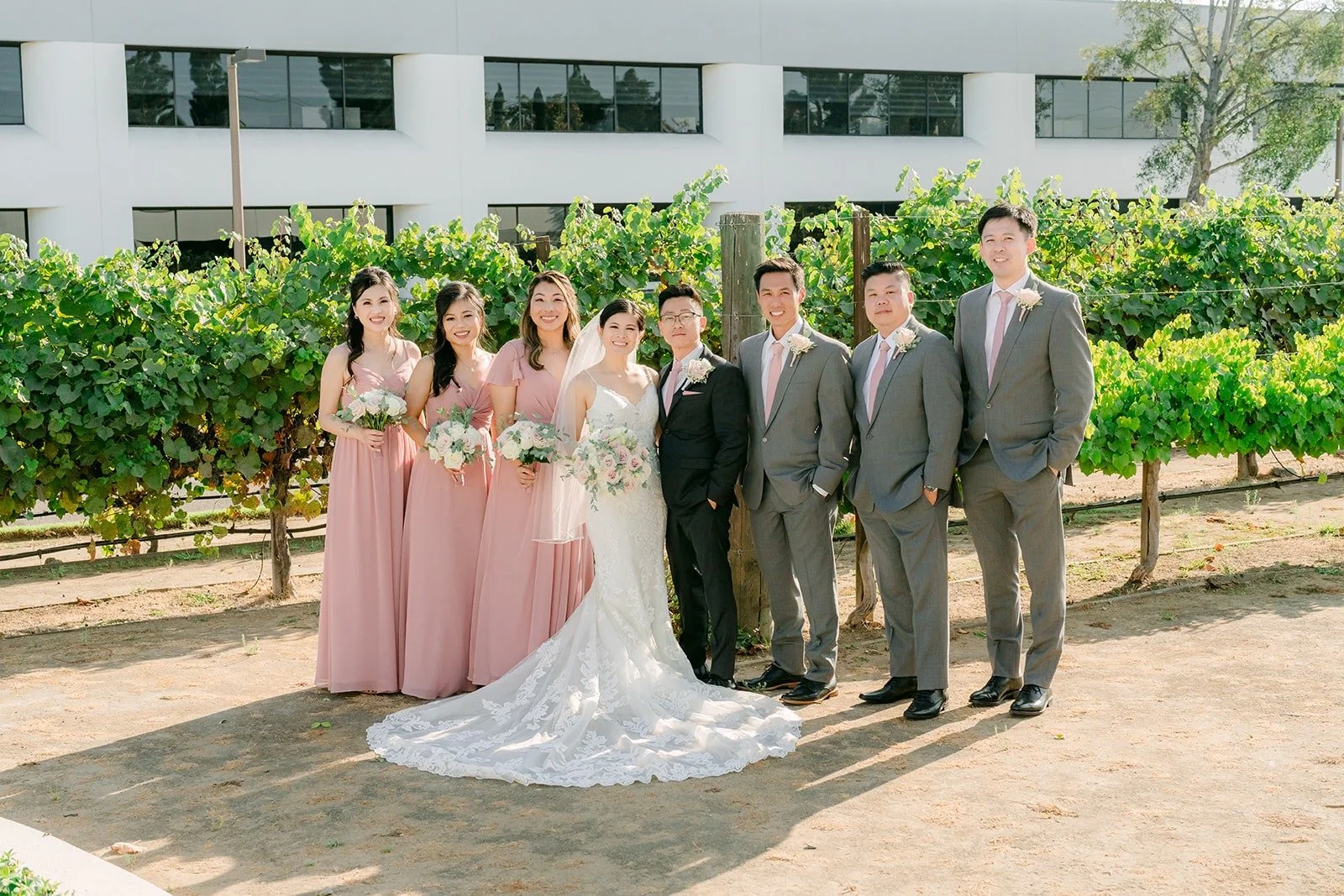 The wedding party in blush and gray in front of the vineyard