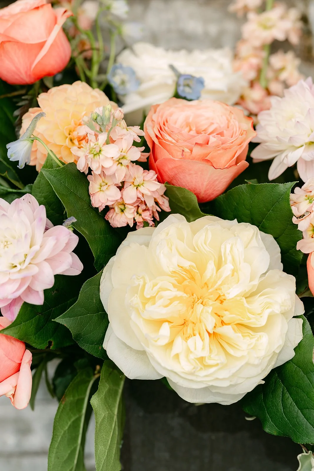 Close detail of a peach and cream garden rose arrangement.