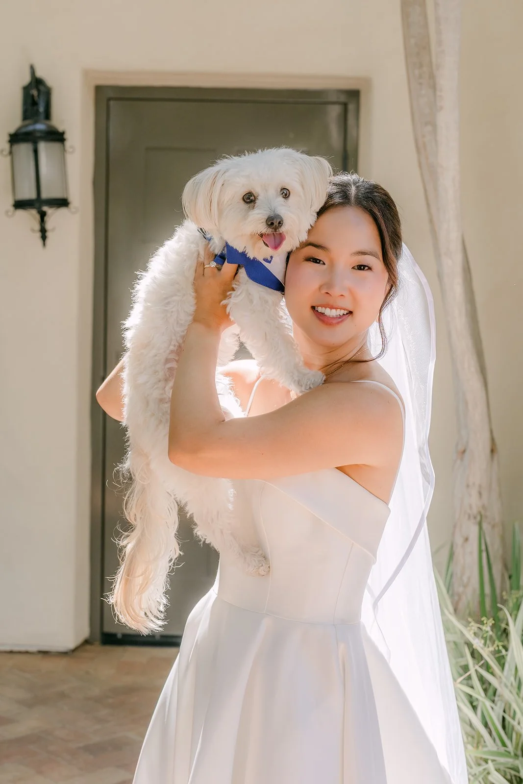 The pup perched happily on Saya's shoulder