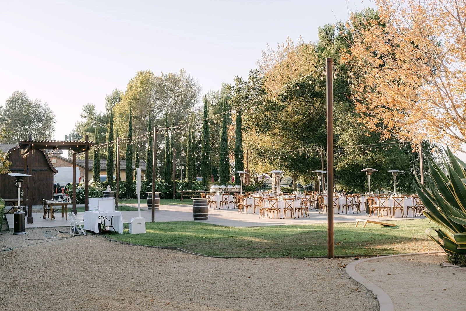 Bel Vino Winery grounds with cypress trees and the reception patio