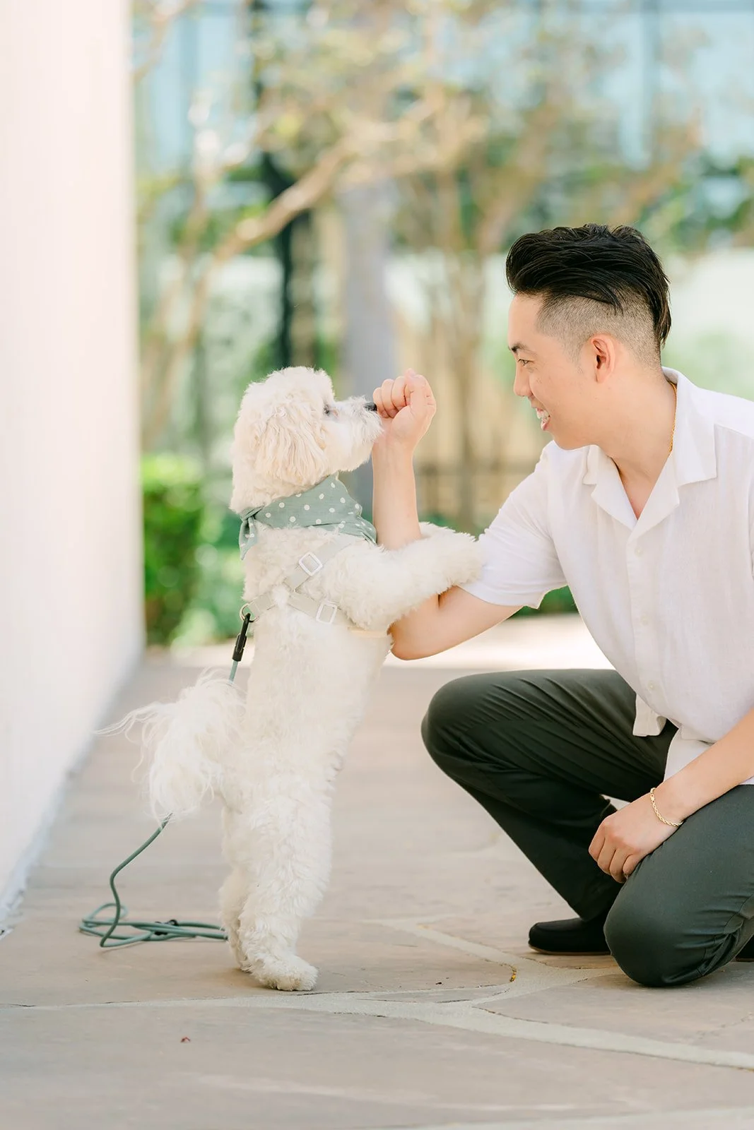 Alan kneels as Tofu stands up to greet him.