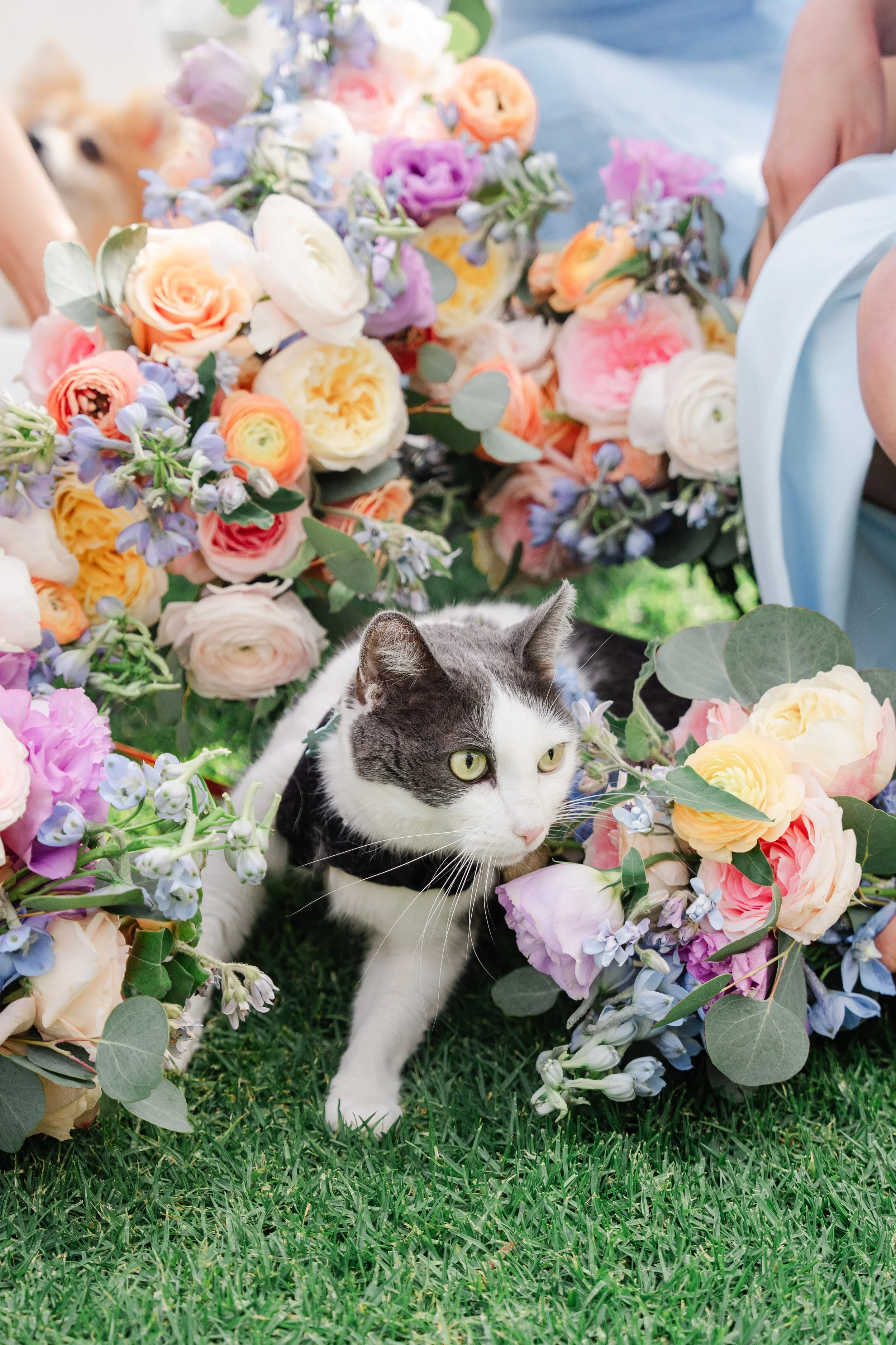 ValerieDannyWedding_SneakPeek_0041.jpg