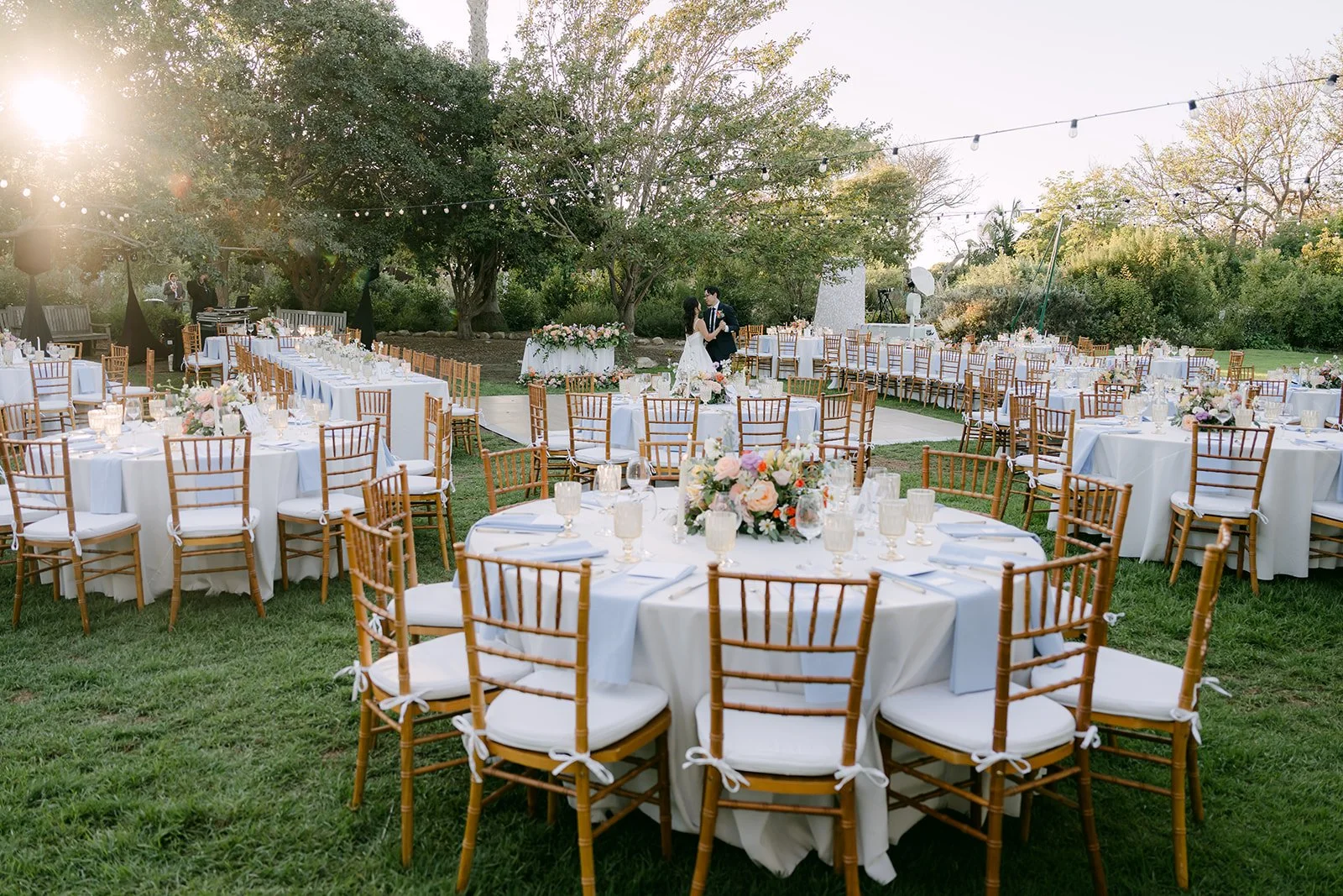 The reception lawn glowing under string lights