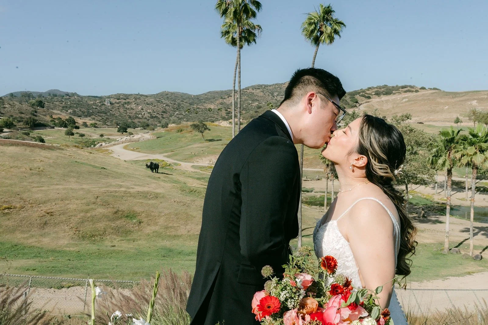 Joanne and Zach kissing on the overlook above the savannah
