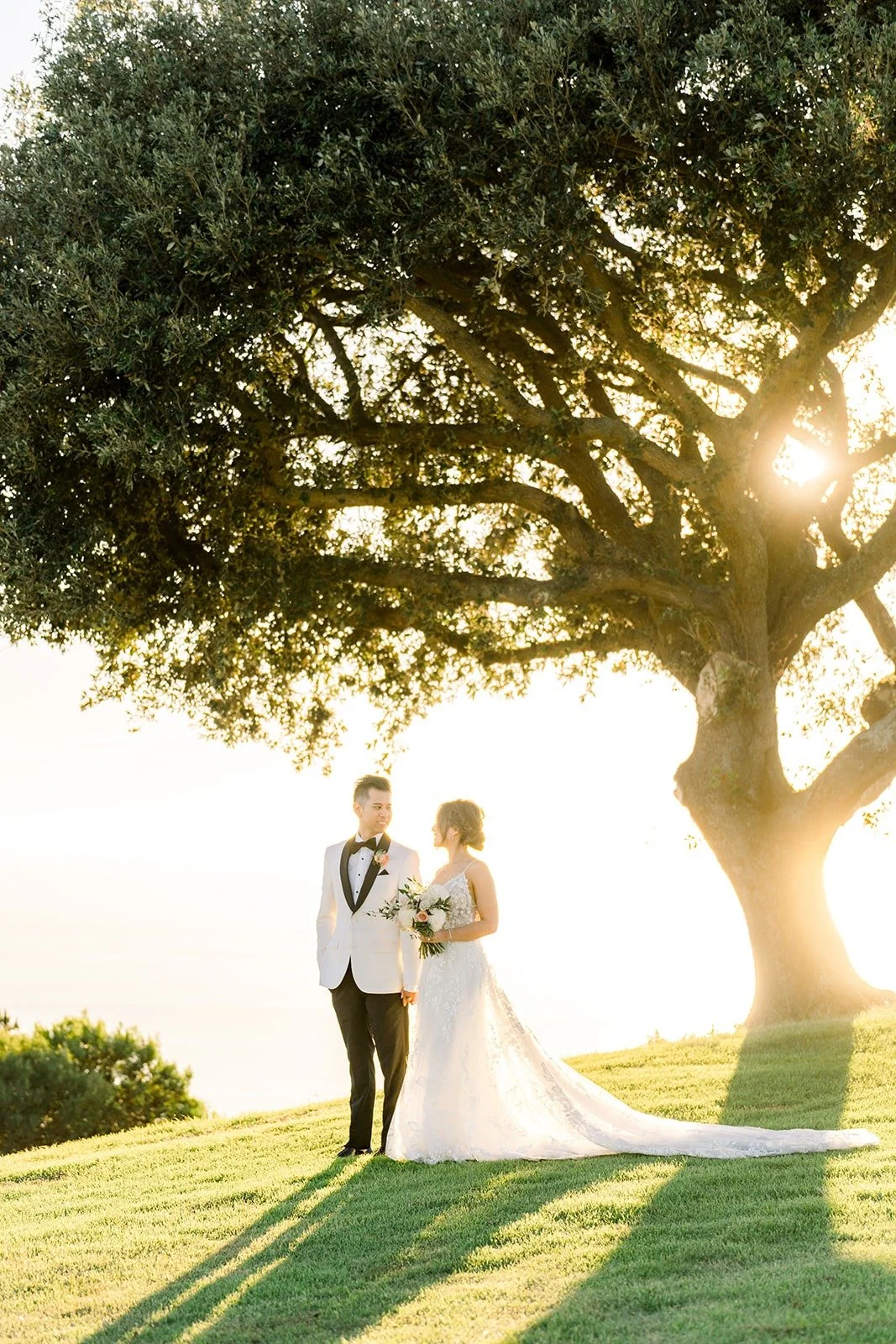 Josephine and David beneath a large tree at sunset