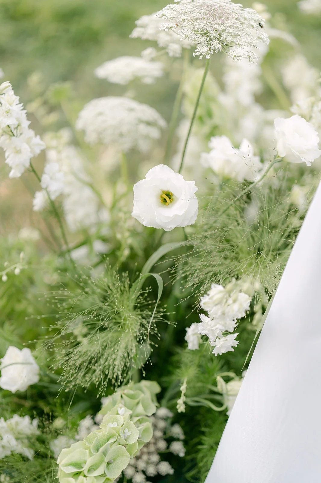Close up of white garden florals from Wild and Behold
