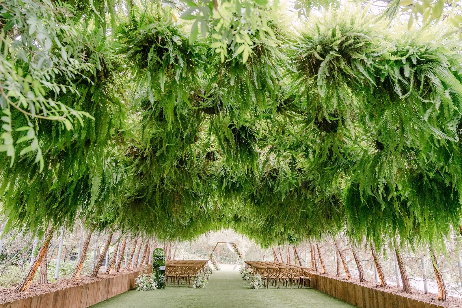 Canopy of hanging ferns over the Woodland Grotto ceremony site