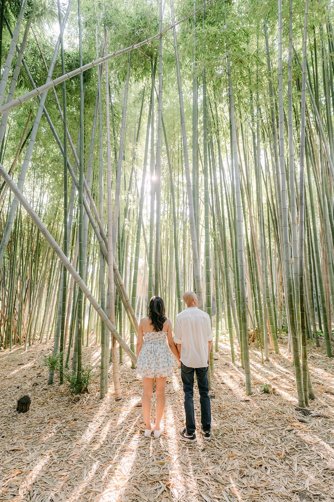 Francesca and Daniel walk side by side down a path through tall bamboo.
