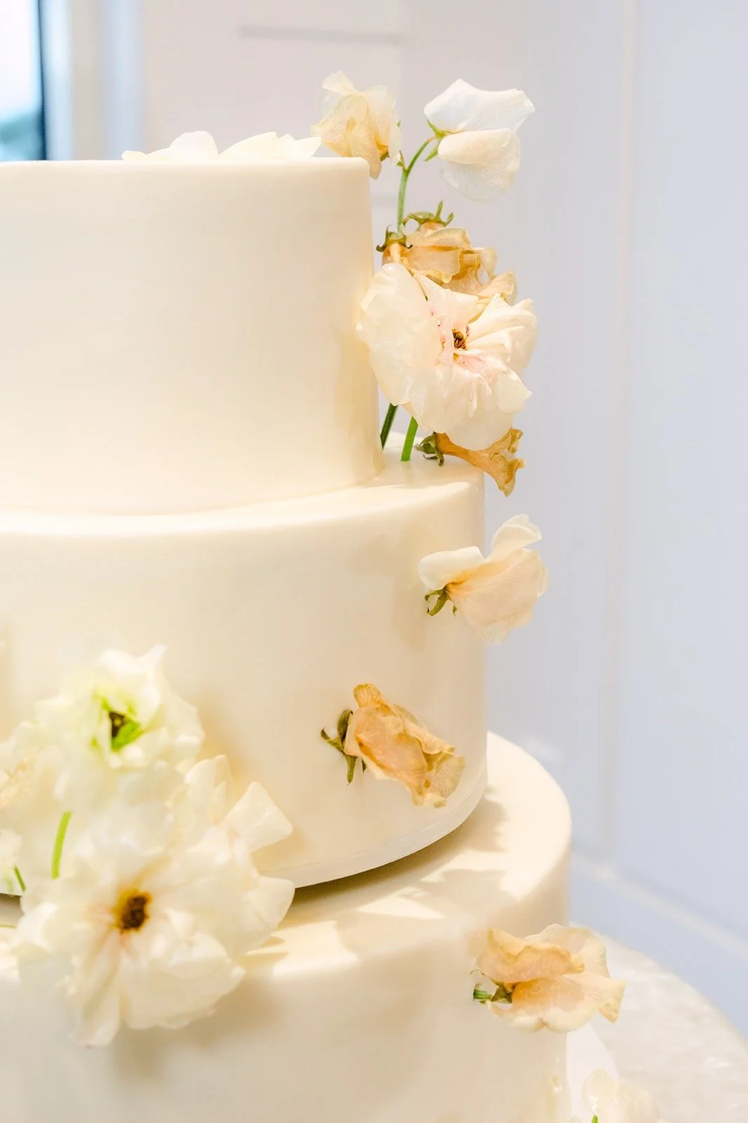 Close up of ivory sugar flowers on the cake