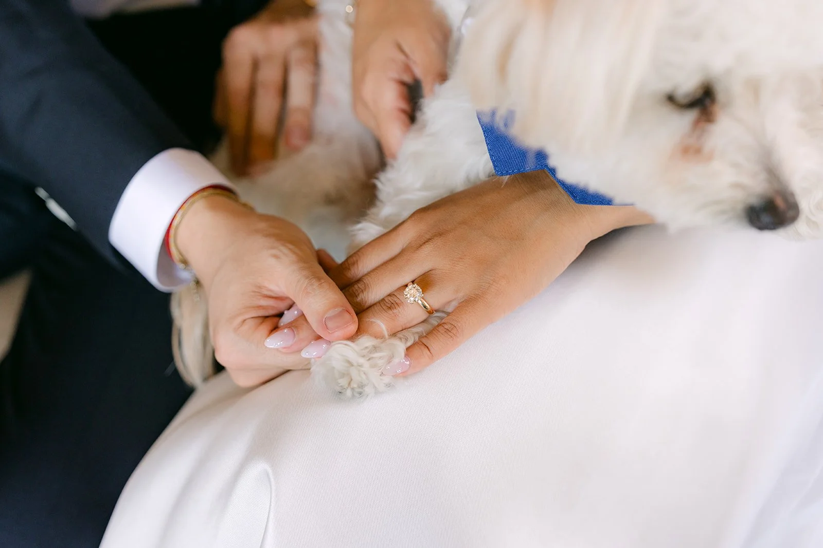Fastening the rings to the pup's bandana