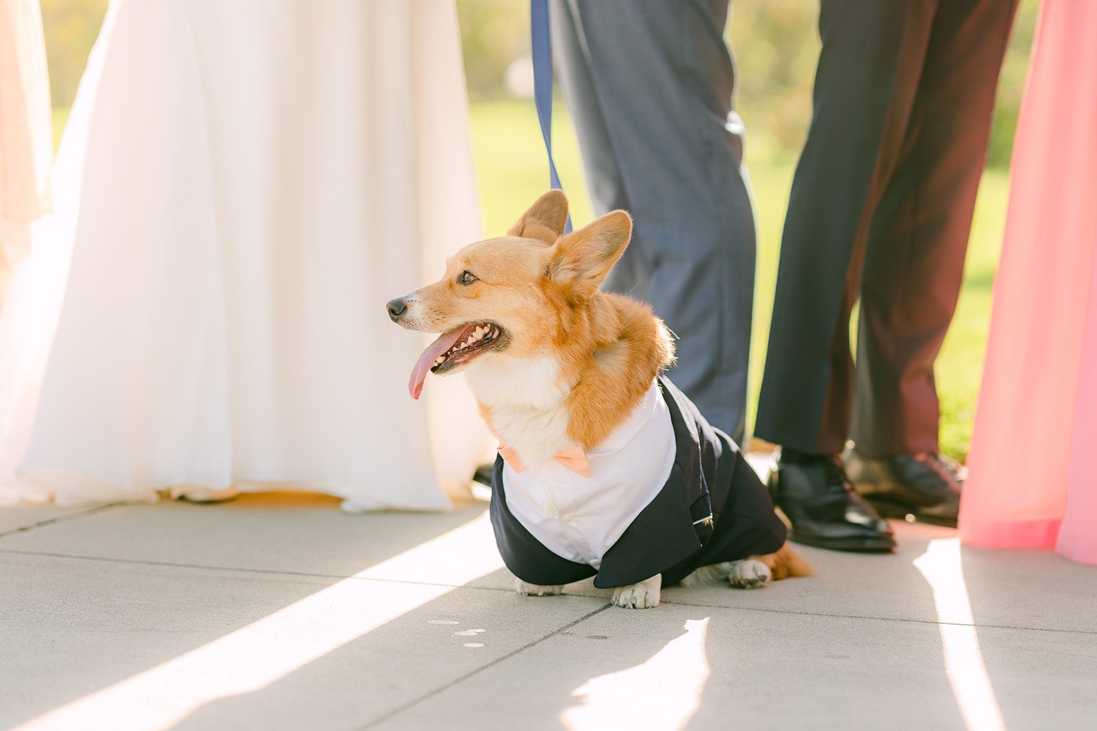 Pumpkin sitting between the wedding party's feet