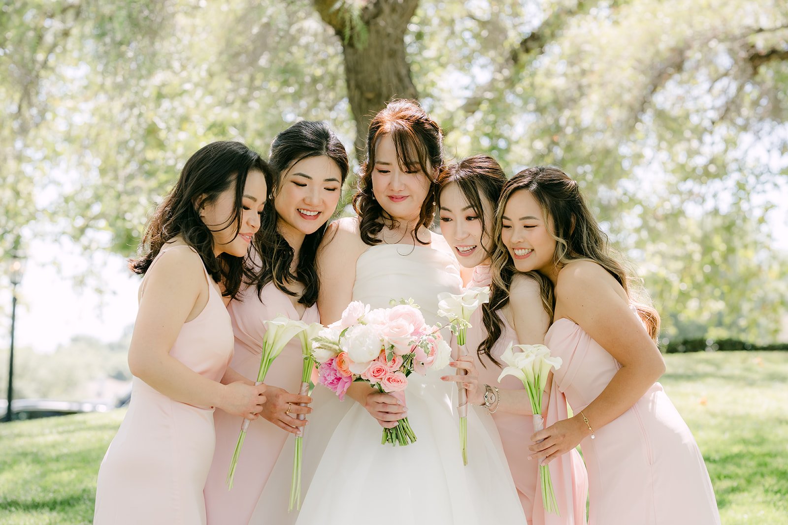 Judy with her bridesmaids on the lawn at Summit House