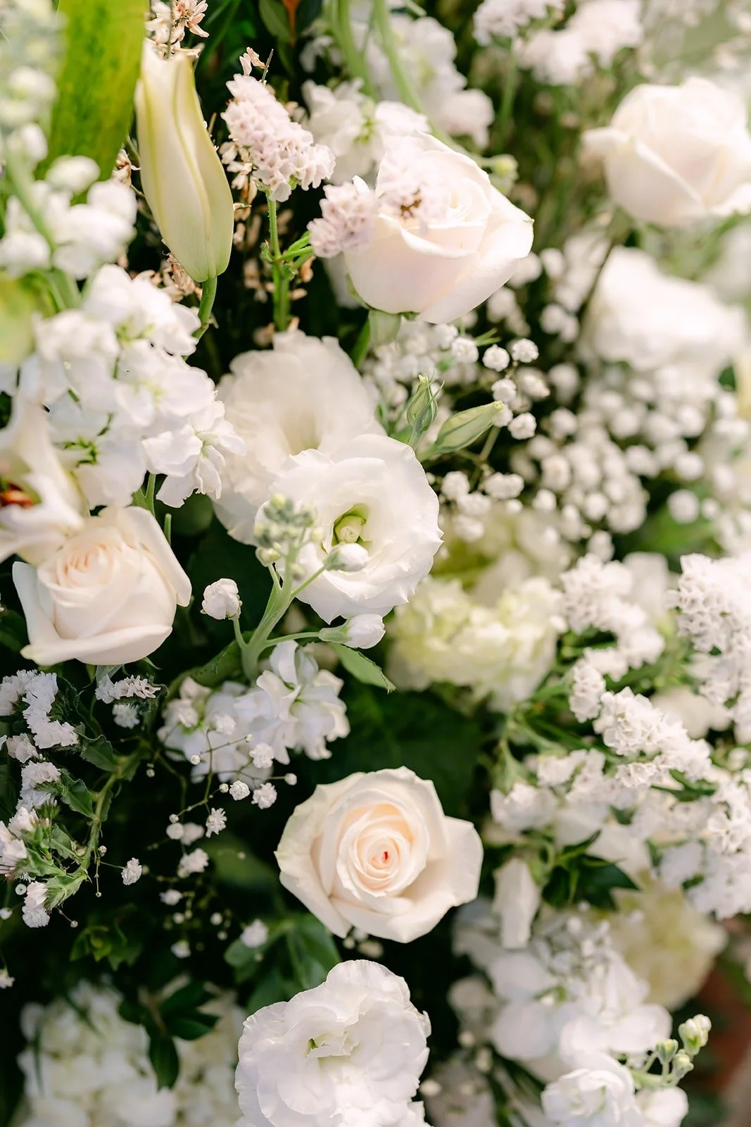 Close up of white roses and baby's breath in the floral arrangements, photographed by One and Only Production