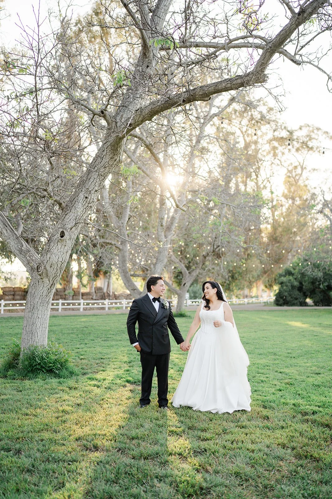 Couple holding hands in the walnut orchard at sunset