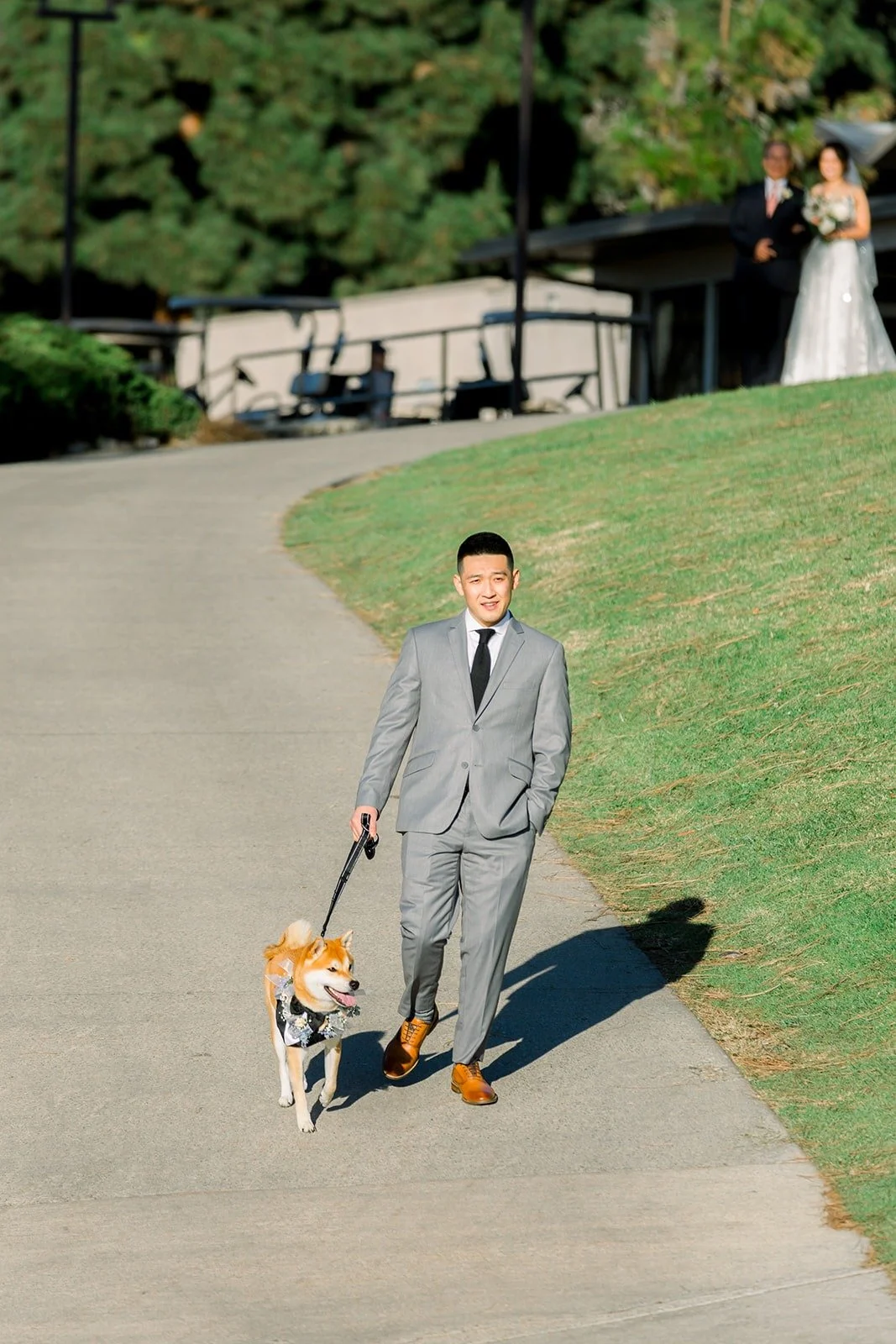 Josephine and David's dog walking down the aisle