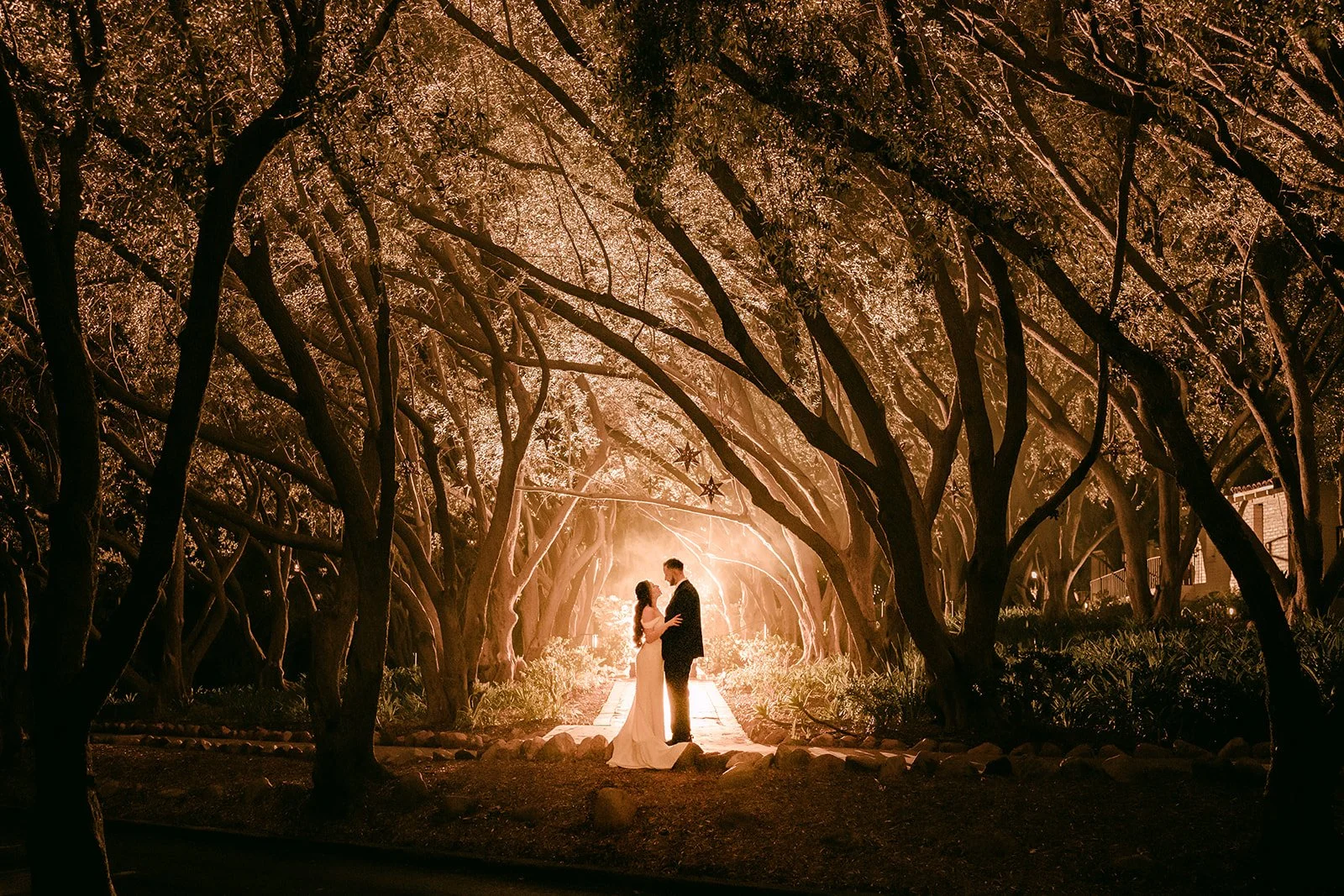 Silhouette of Mariana and Danny under the olive tree canopy lit from behind