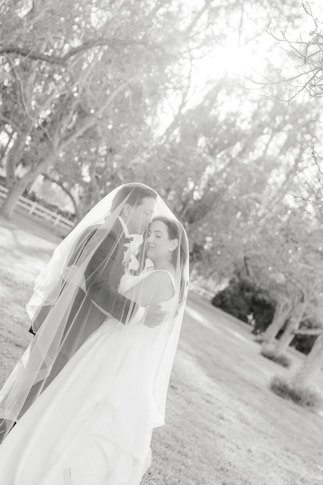 Black and white photo of the couple under the veil in the orchard