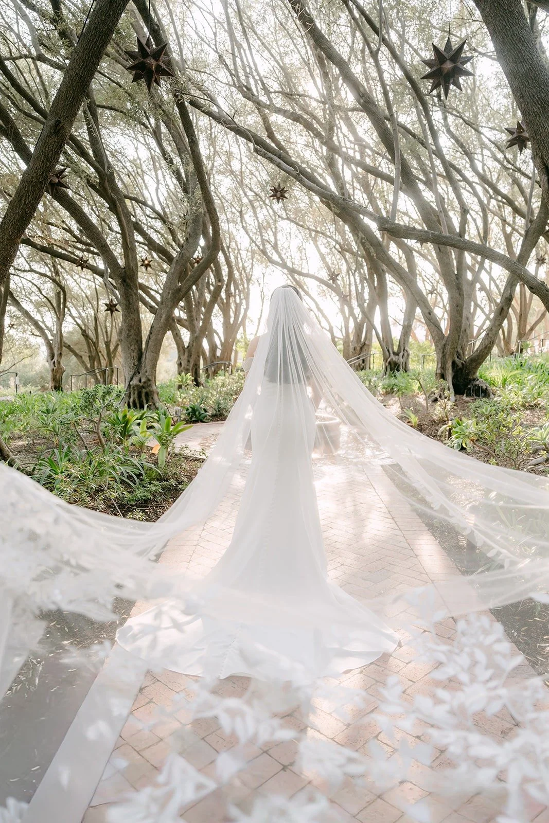 Mariana's cathedral veil spread across the brick path under the trees at Padua Hills Theatre