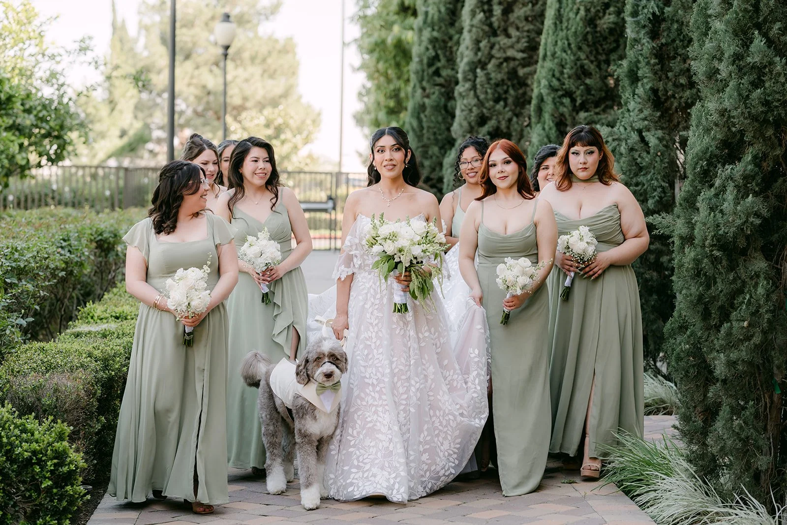 Fernanda with her bridesmaids in sage under the cypress trees.