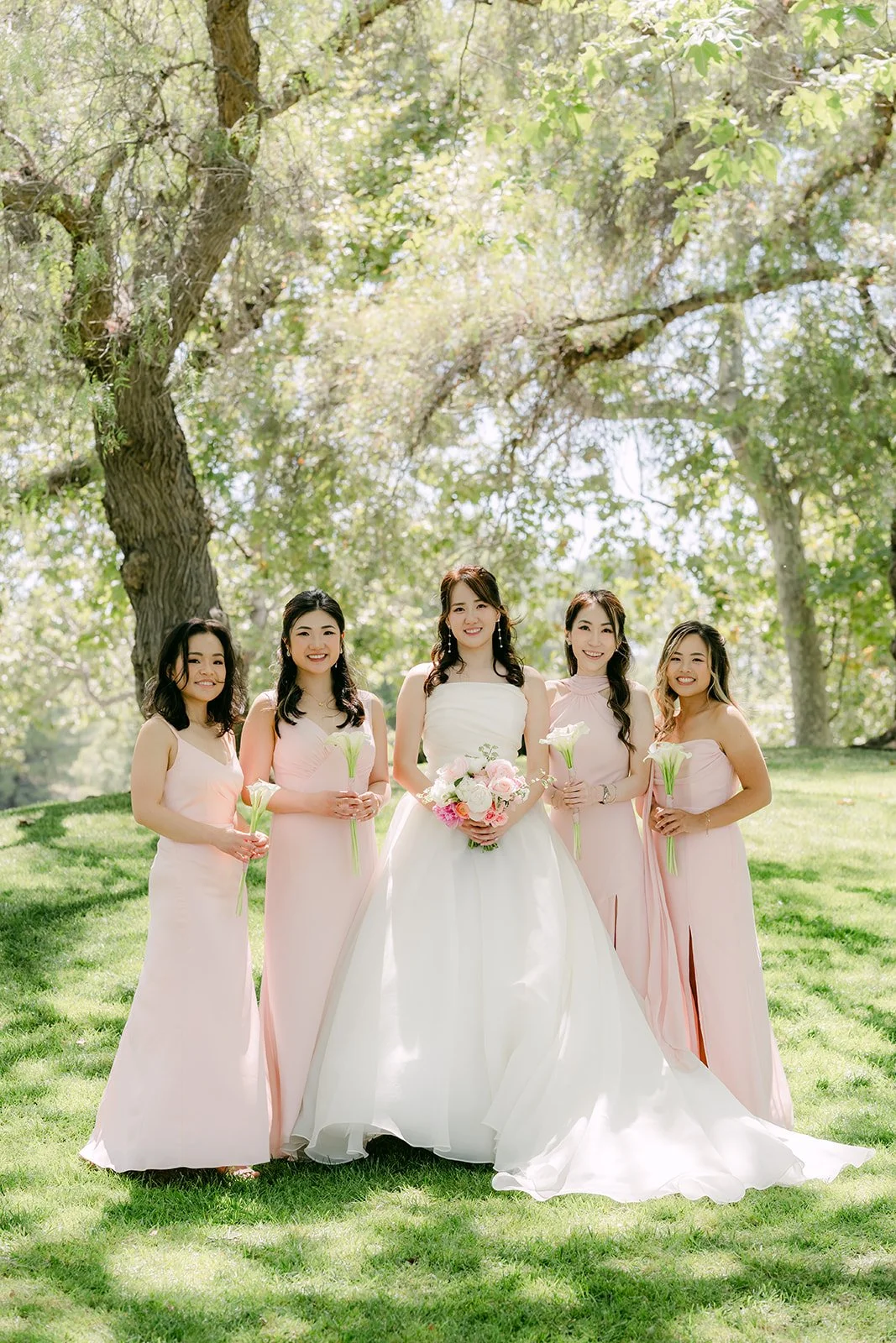 Judy and her bridesmaids in blush pink under the sycamore trees