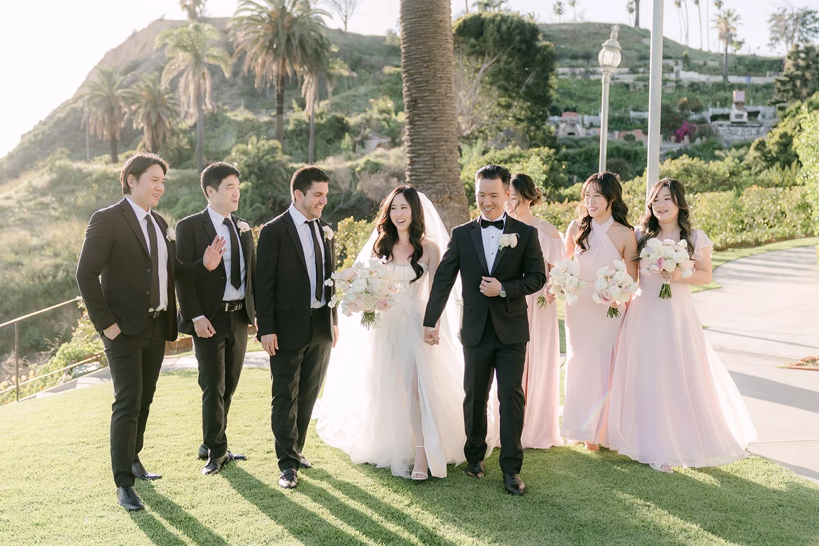 Wedding party walking across the lawn in the afternoon sun