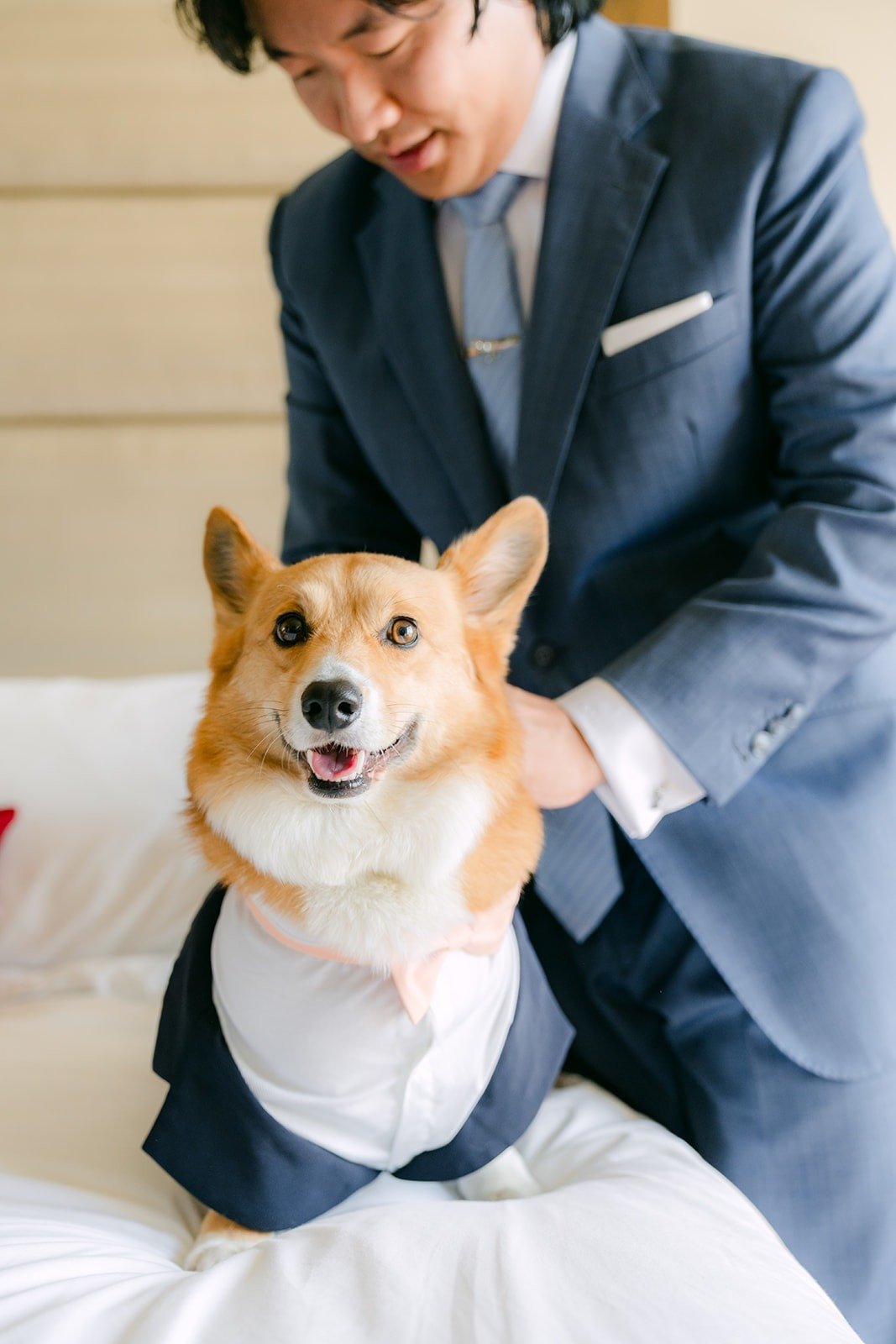 Philip lifting the corgi in its tuxedo bib, photographed by One and Only Production