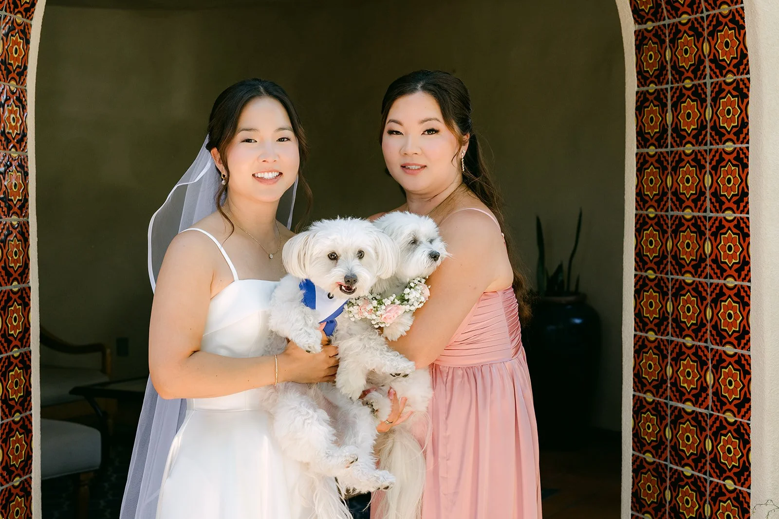 Saya and a bridesmaid snuggling the two dogs