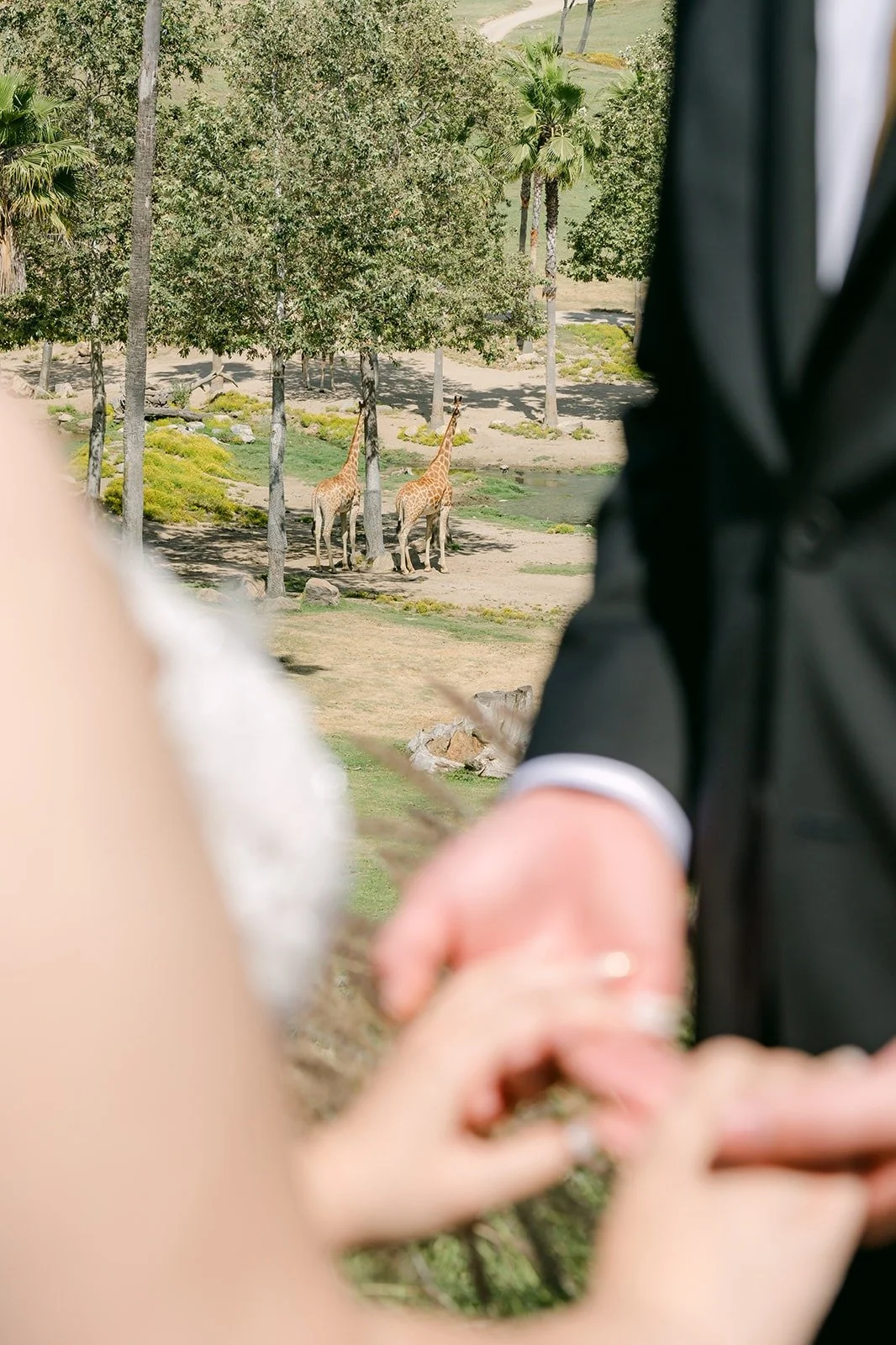 Joanne and Zach holding hands to show their wedding rings