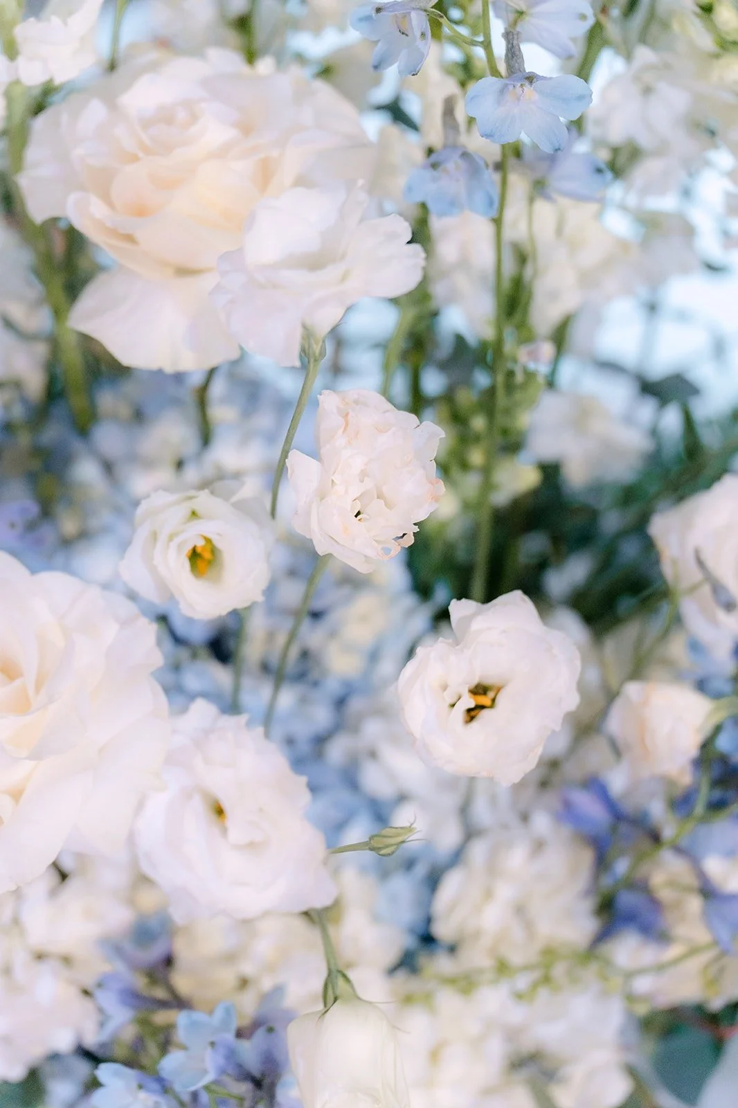 Close up of white and pale blue florals from Thai Bridal and Florist