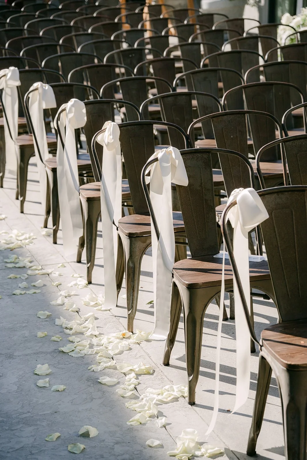 Rows of wooden chairs with chiffon ties and petals down the aisle