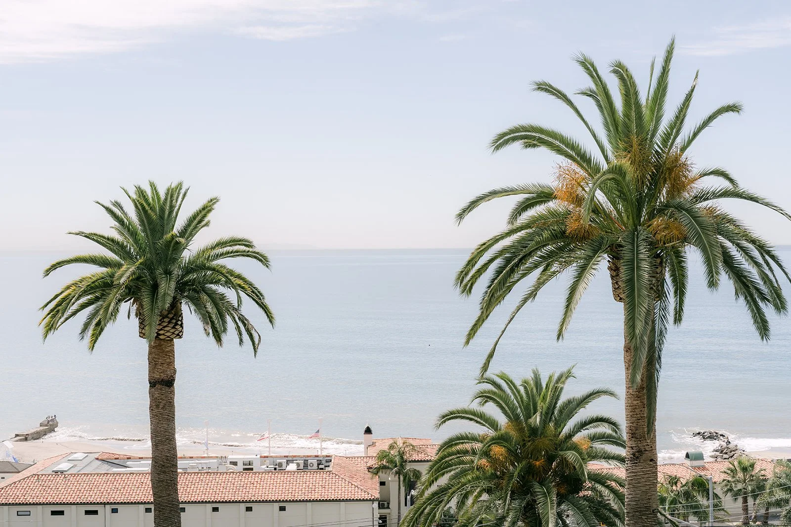 Palm trees and Pacific Ocean view from Bel-Air Bay Club in Pacific Palisades