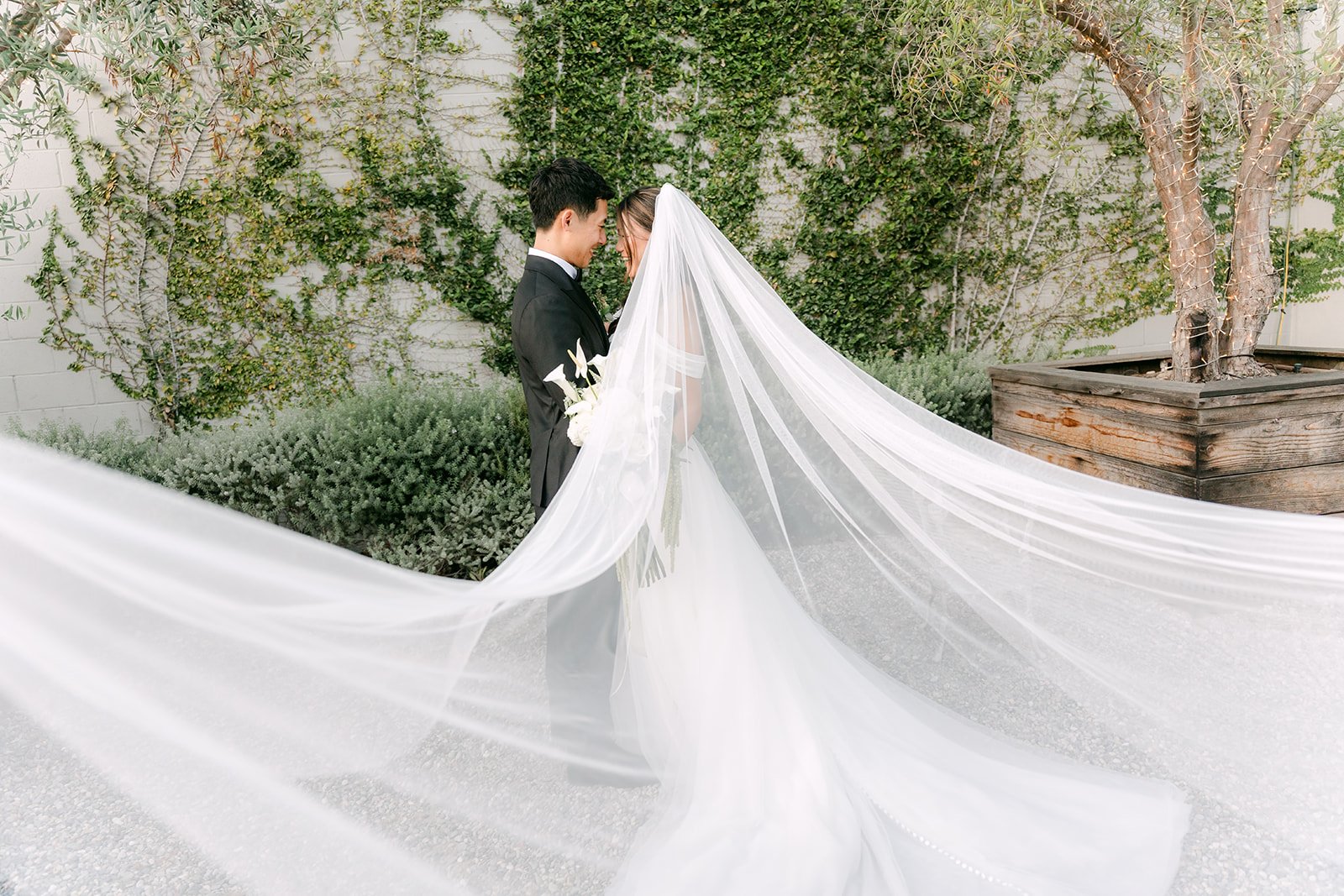 Jadee's cathedral veil sweeping across the garden