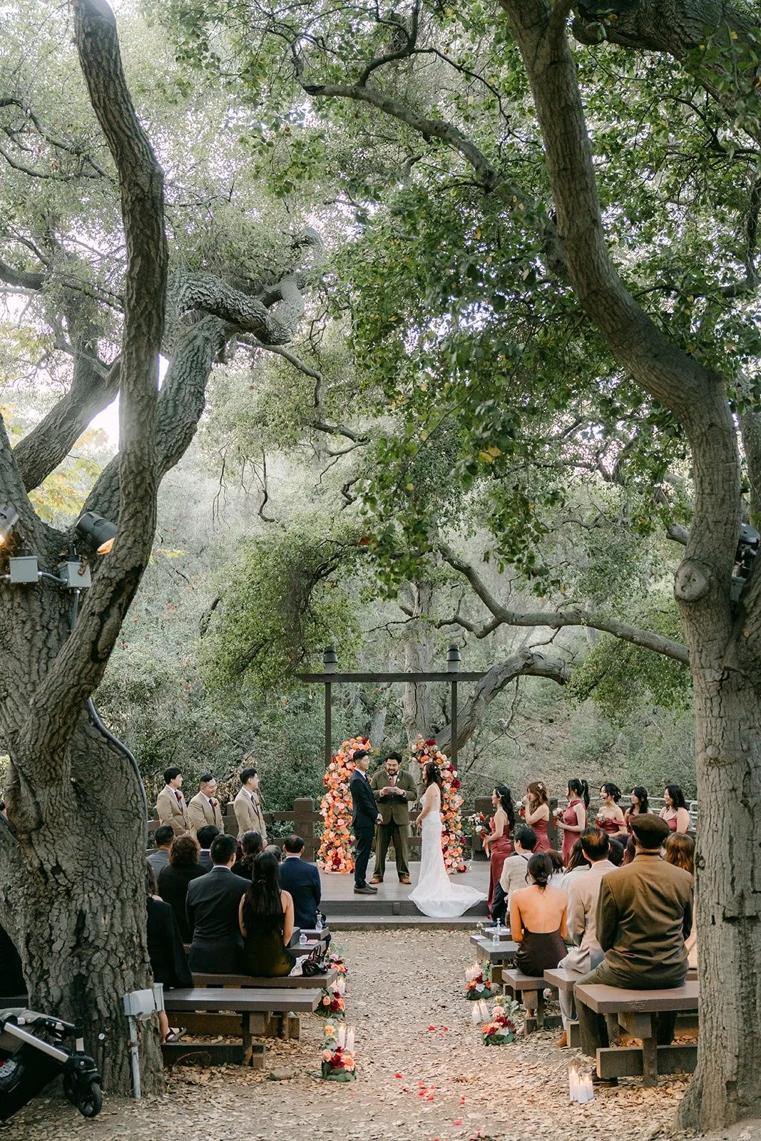Wide view of the ceremony under the oak canopy